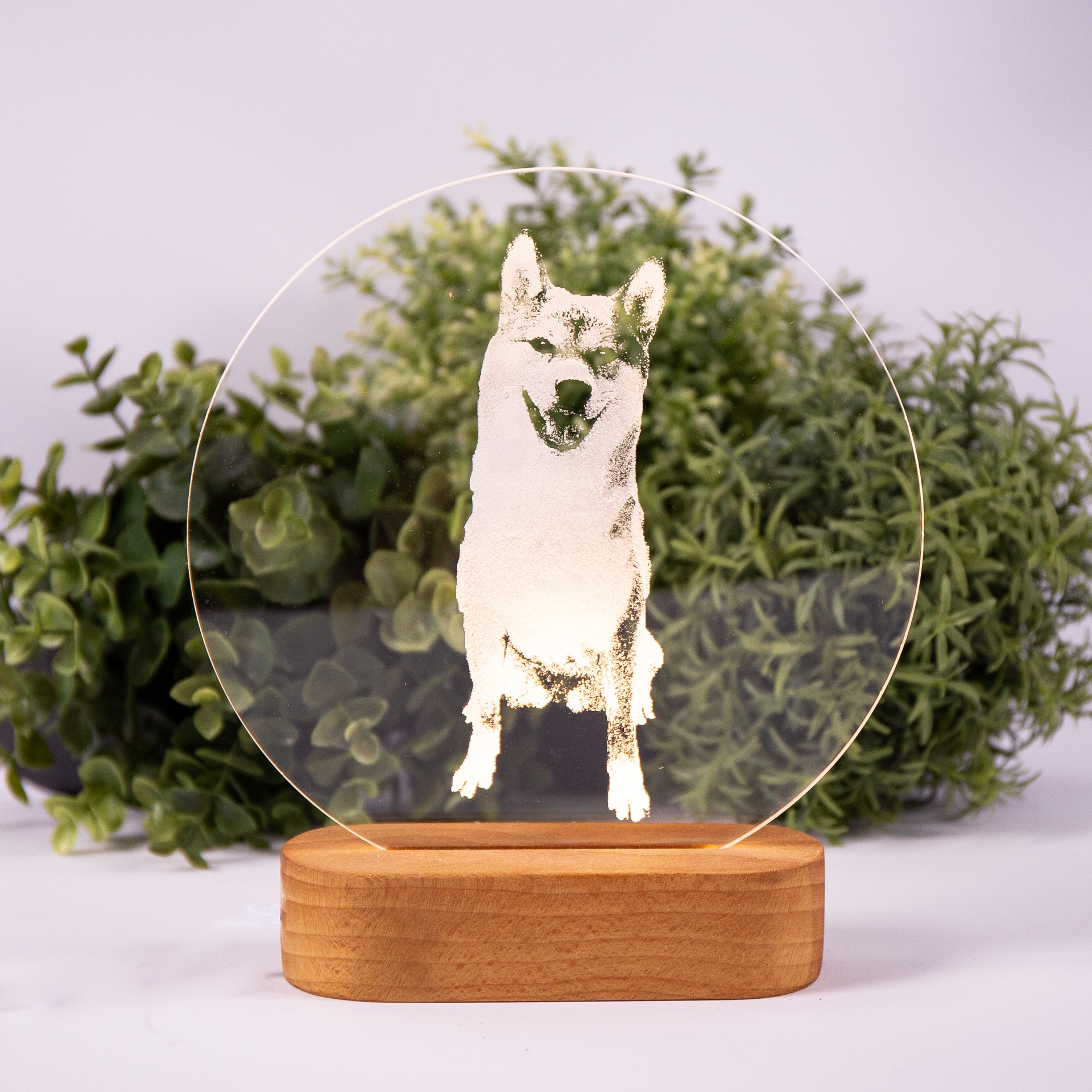 Acylic-doggy lamp-2