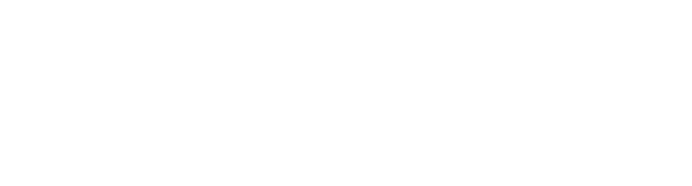 FLUX-Logo-white Logo flux blanc