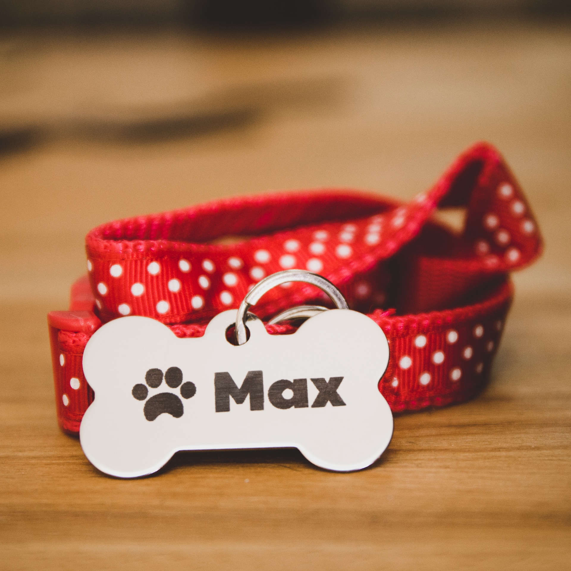 Stainless-dogtag