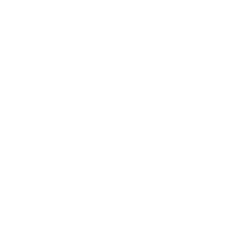 Sécurité graveurs laser Flux